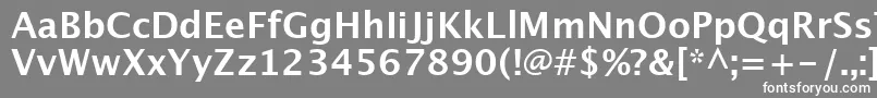 Czcionka LucidaSansDemibold – białe czcionki na szarym tle