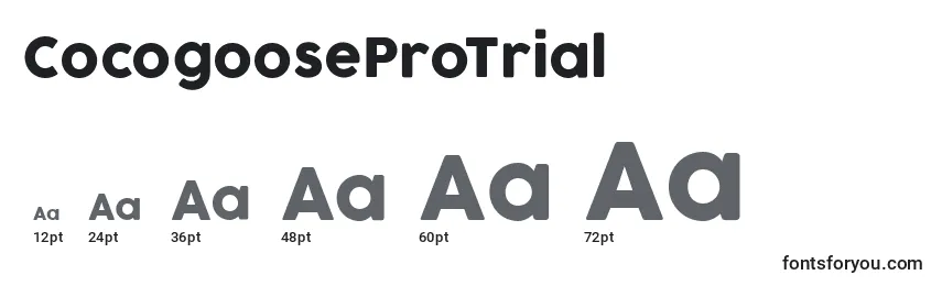 CocogooseProTrial Font Sizes