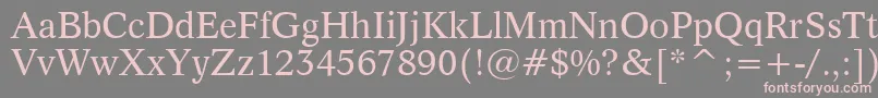 フォントDutch809Bt – 灰色の背景にピンクのフォント