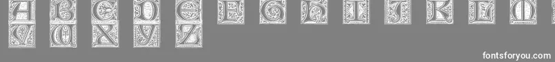 MedievalVictorianaNo.1 Font – White Fonts on Gray Background