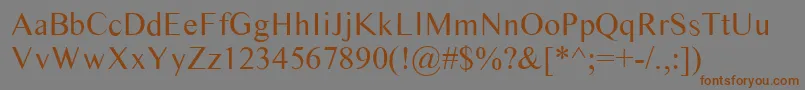Timess Font – Brown Fonts on Gray Background