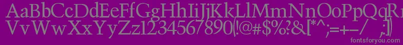 Victima-Schriftart – Graue Schriften auf violettem Hintergrund