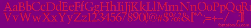 Victima Font – Red Fonts on Purple Background