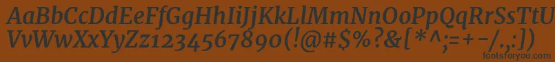 MerriweatherBolditalic Font – Black Fonts on Brown Background