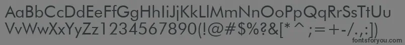 Tt0140m Font – Black Fonts on Gray Background