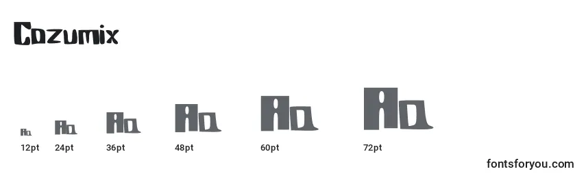 Cozumix Font Sizes
