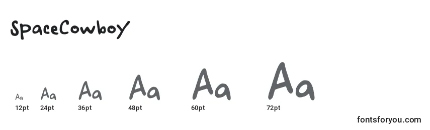SpaceCowboy Font Sizes
