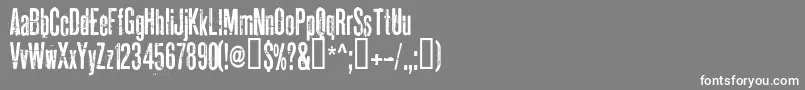 PahuengaCass Font – White Fonts on Gray Background