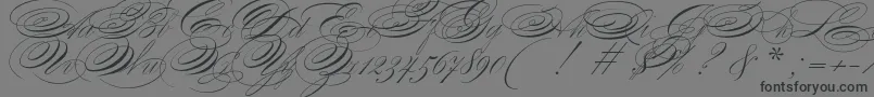 ZanerianTwo-Schriftart – Schwarze Schriften auf grauem Hintergrund