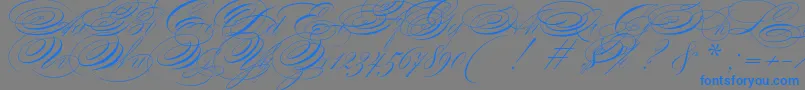 ZanerianTwo Font – Blue Fonts on Gray Background