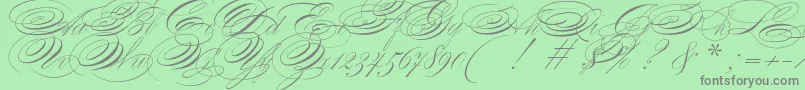 ZanerianTwo Font – Gray Fonts on Green Background