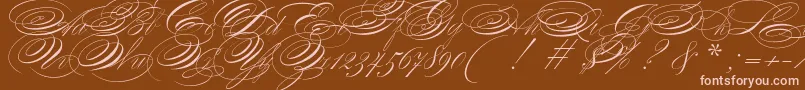 ZanerianTwo Font – Pink Fonts on Brown Background