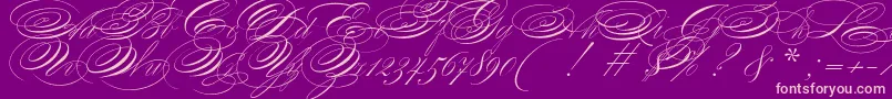 ZanerianTwo-Schriftart – Rosa Schriften auf violettem Hintergrund