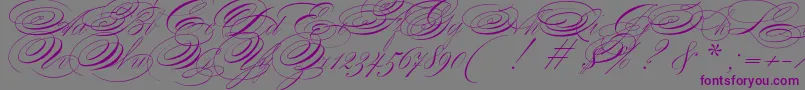 ZanerianTwo Font – Purple Fonts on Gray Background