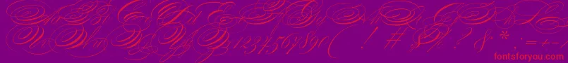 ZanerianTwo Font – Red Fonts on Purple Background