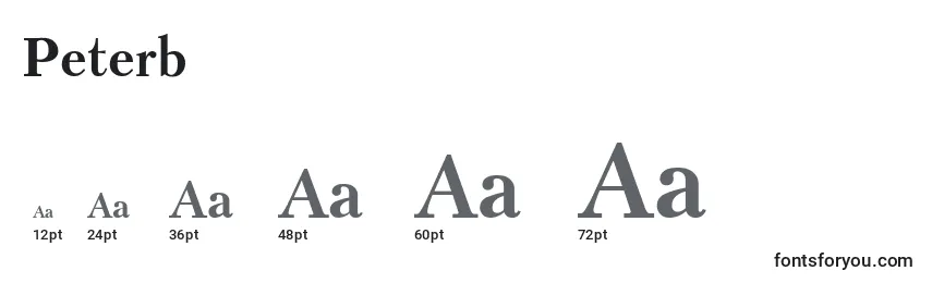 Peterb Font Sizes
