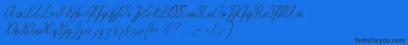 Wiegelkurrentmedium Font – Black Fonts on Blue Background