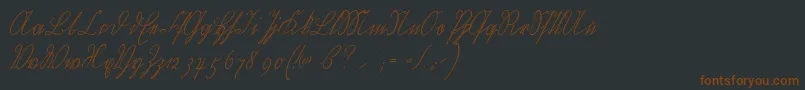 Wiegelkurrentmedium Font – Brown Fonts on Black Background