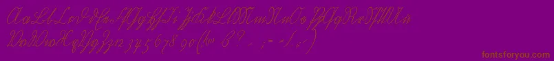 Wiegelkurrentmedium Font – Brown Fonts on Purple Background