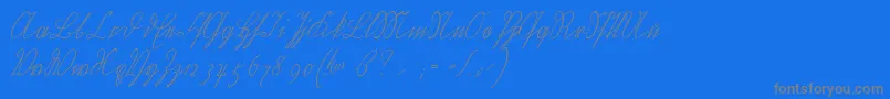 Wiegelkurrentmedium Font – Gray Fonts on Blue Background