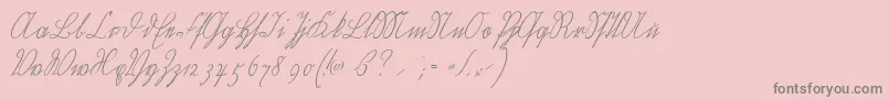 Wiegelkurrentmedium Font – Gray Fonts on Pink Background