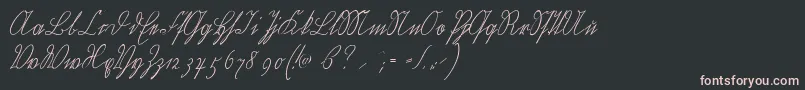 Wiegelkurrentmedium Font – Pink Fonts on Black Background