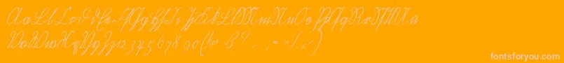 Wiegelkurrentmedium Font – Pink Fonts on Orange Background