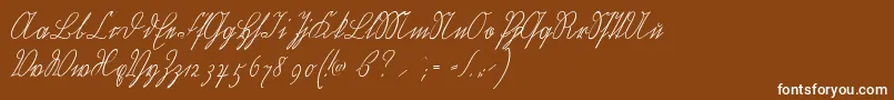 Шрифт Wiegelkurrentmedium – белые шрифты на коричневом фоне