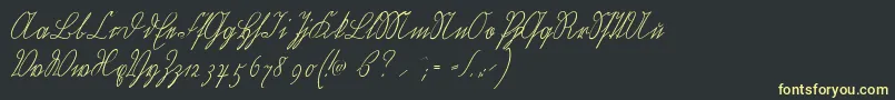 Wiegelkurrentmedium Font – Yellow Fonts on Black Background