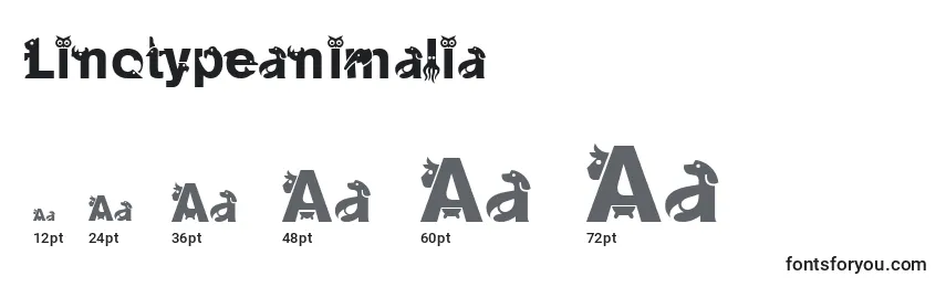 Размеры шрифта Linotypeanimalia