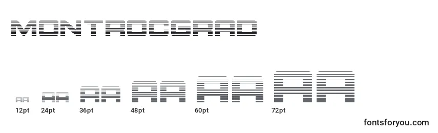 Montrocgrad Font Sizes