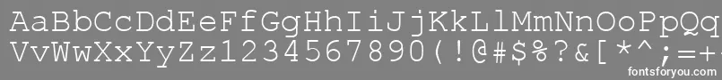 フォントRolk8c – 灰色の背景に白い文字