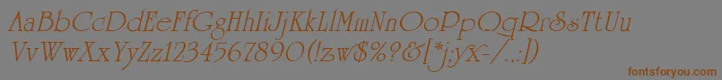 UniversityRomanItalicPlain Font – Brown Fonts on Gray Background