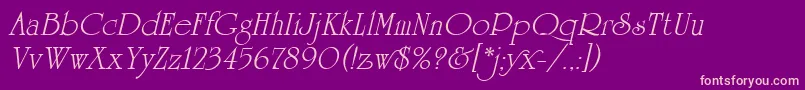 UniversityRomanItalicPlain Font – Pink Fonts on Purple Background