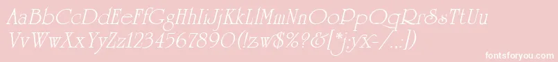 UniversityRomanItalicPlain Font – White Fonts on Pink Background