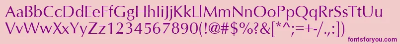 OptimumRoman Font – Purple Fonts on Pink Background