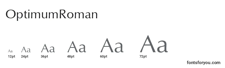 Размеры шрифта OptimumRoman