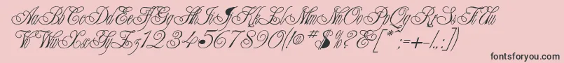 Champagne Font – Black Fonts on Pink Background