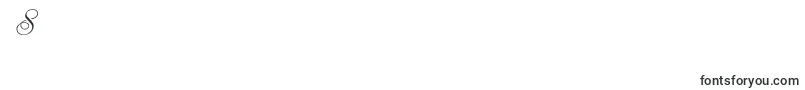 フォントChampagne – フォント数字8