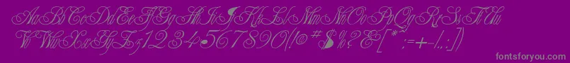 Champagne-Schriftart – Graue Schriften auf violettem Hintergrund