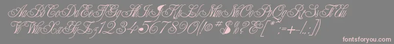 Champagne Font – Pink Fonts on Gray Background