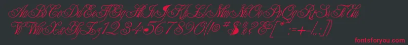 Champagne-Schriftart – Rote Schriften auf schwarzem Hintergrund
