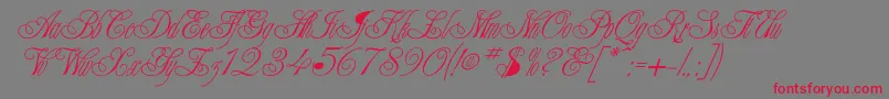 Champagne-Schriftart – Rote Schriften auf grauem Hintergrund