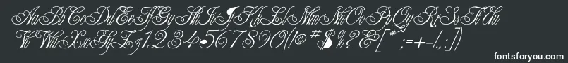 Champagne Font – White Fonts on Black Background