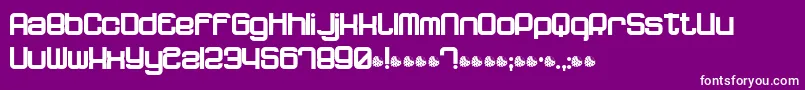 Dnfp Font – White Fonts on Purple Background