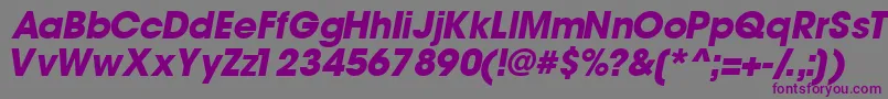 TrendexblacksskItalic Font – Purple Fonts on Gray Background