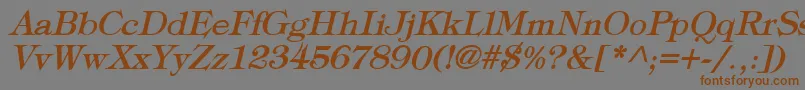 TypographyTimesBoldItalic Font – Brown Fonts on Gray Background