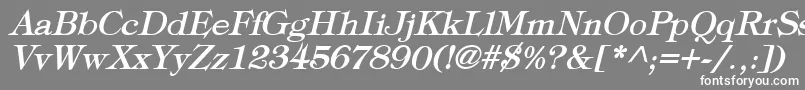 フォントTypographyTimesBoldItalic – 灰色の背景に白い文字