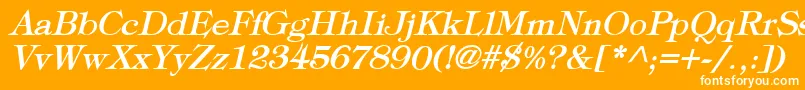 TypographyTimesBoldItalic Font – White Fonts on Orange Background