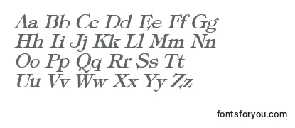 Przegląd czcionki TypographyTimesBoldItalic